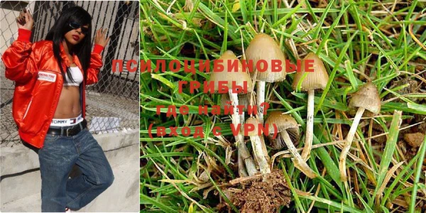 дмт Семилуки