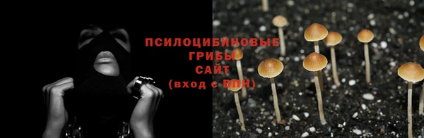 эйфоретик Алексин