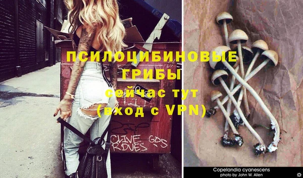 индика Алексеевка