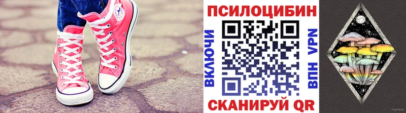 Галлюциногенные грибы Psilocybine cubensis  Аткарск 